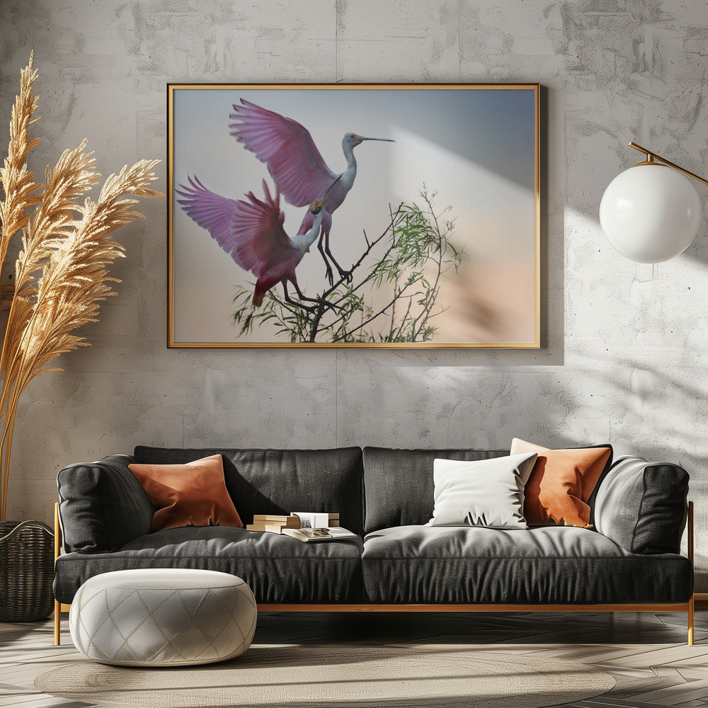 Two Roseate Spoonbills | Poster
