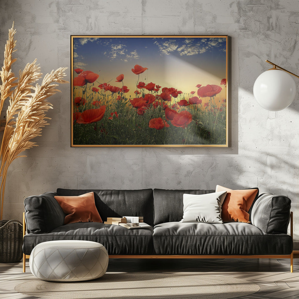 Coquelicots | Posters - Affiche Artistique