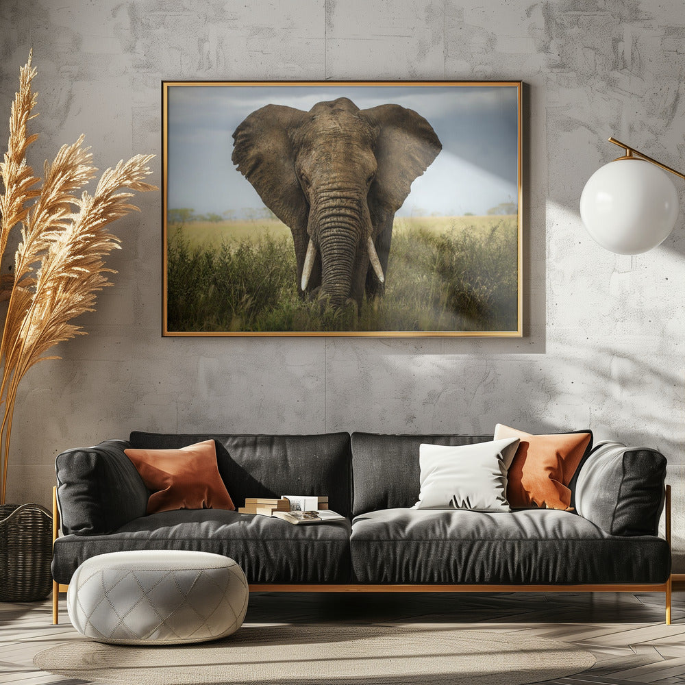 Incontri nel Serengeti | Poster - Stampe d’Arte