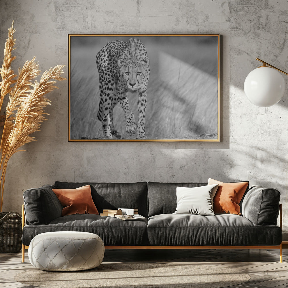 Konzentrierter Räuber | Poster - Kunstdruck