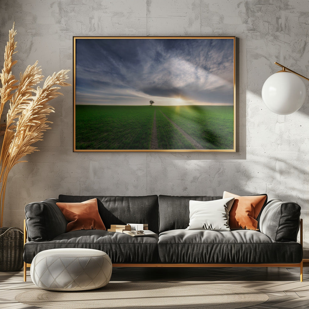 solitario bajo el sol | Posters - Impresiones de Arte