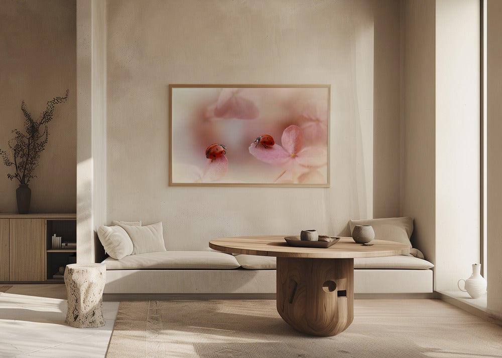 Nyckelpigor på rosa hortensia. Poster