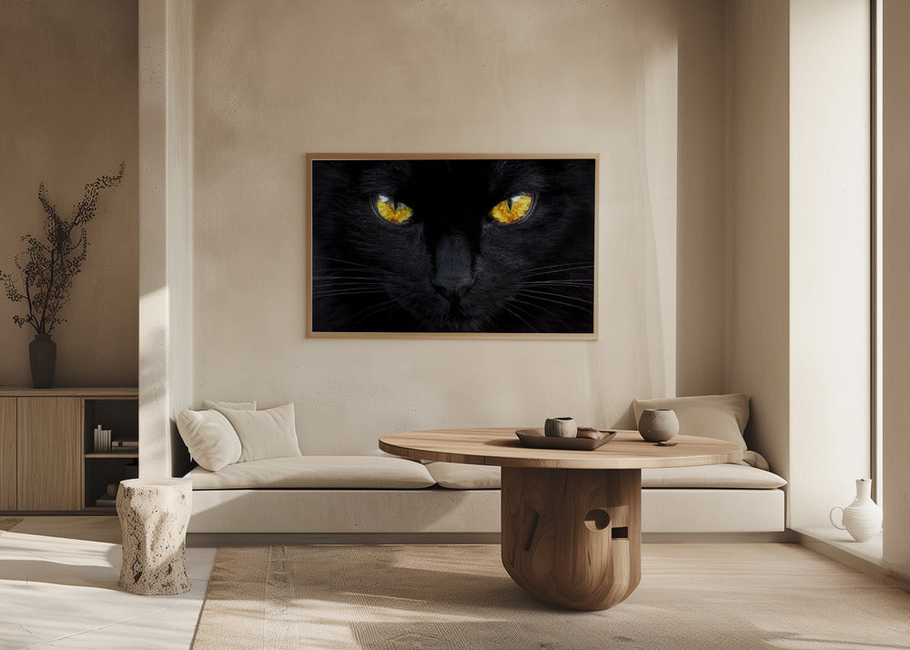 L'hypnotiseur de la nuit | Posters - Affiche Artistique