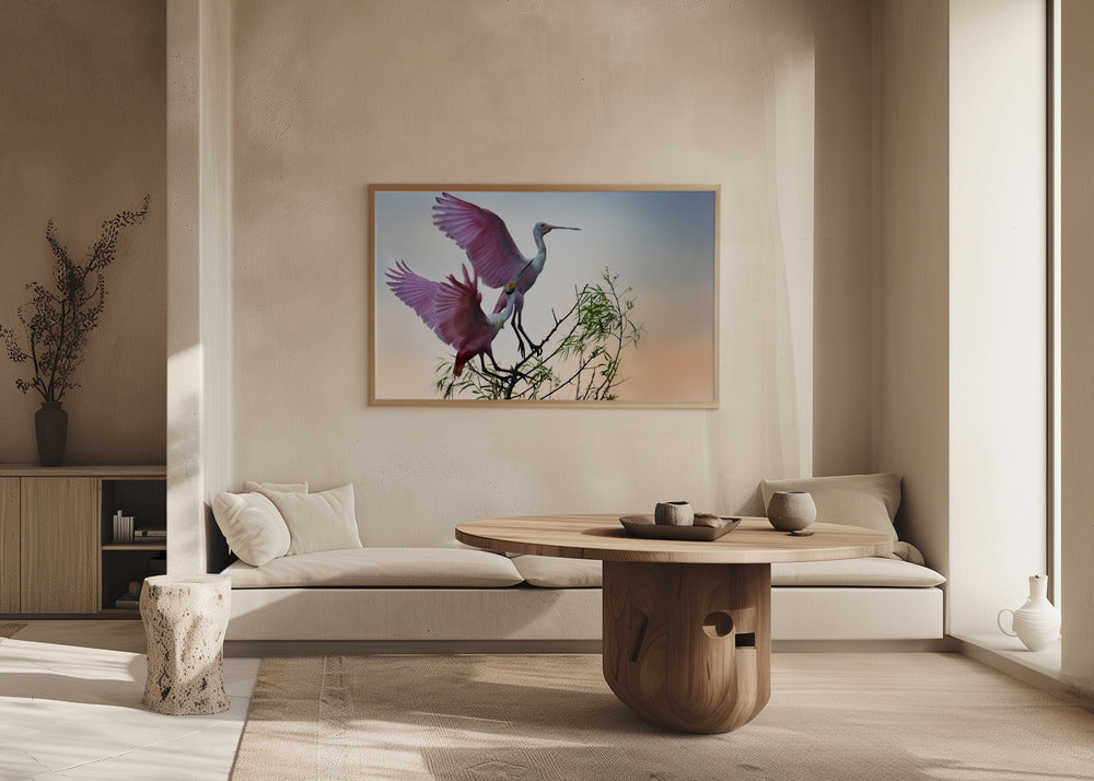 Two Roseate Spoonbills | Poster
