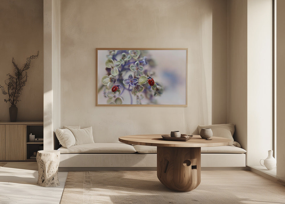 Fragile | Poster - Stampe d’Arte