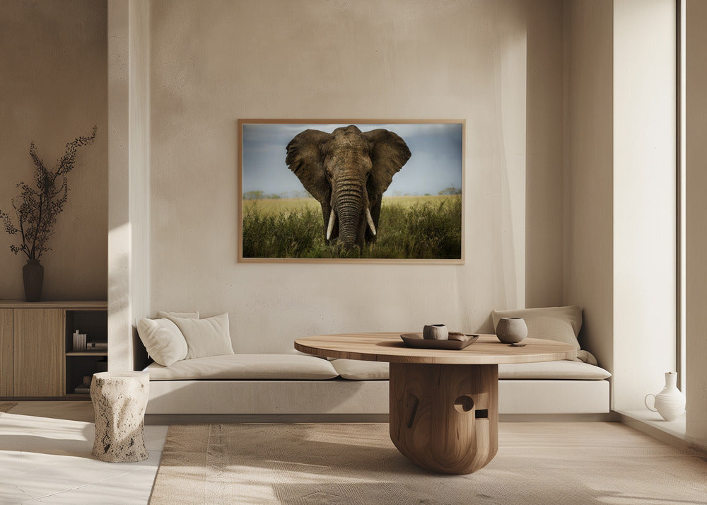 Incontri nel Serengeti | Poster - Stampe d’Arte