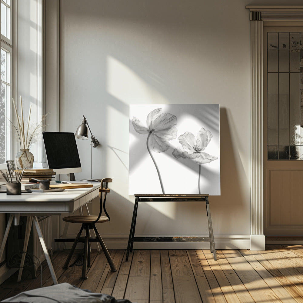 Dieselbe Tulpe: Vorder- und Rückansicht | Leinwand-Bilder