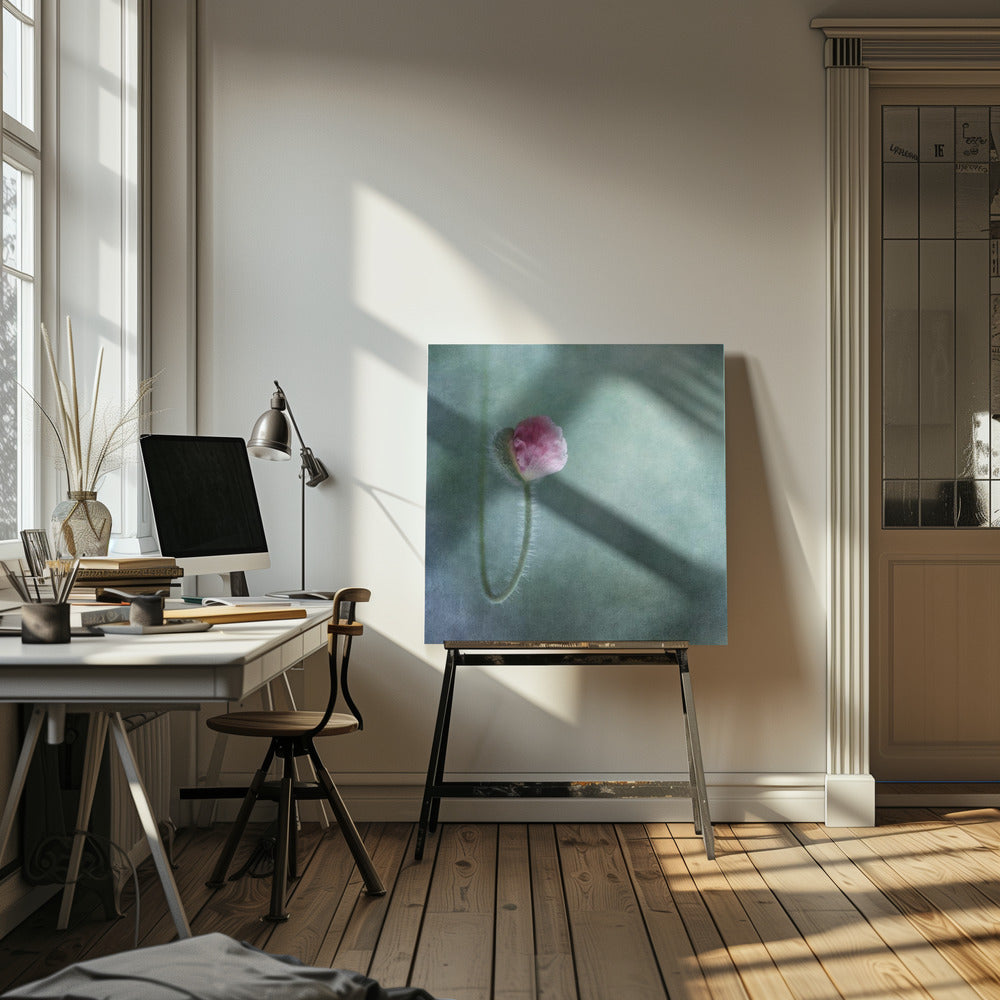 Vertrouwen | Canvasprints