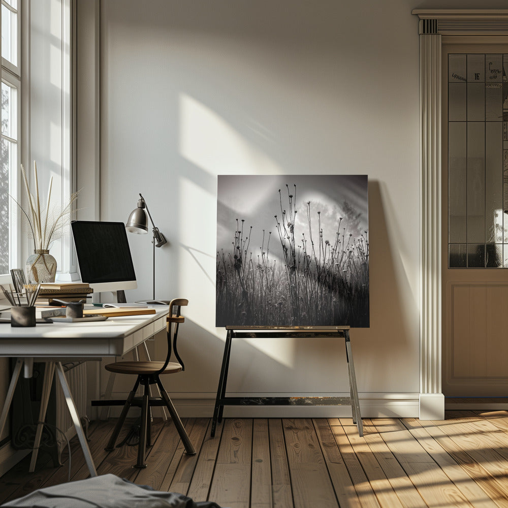 Meadow Plants 1 | Canvas