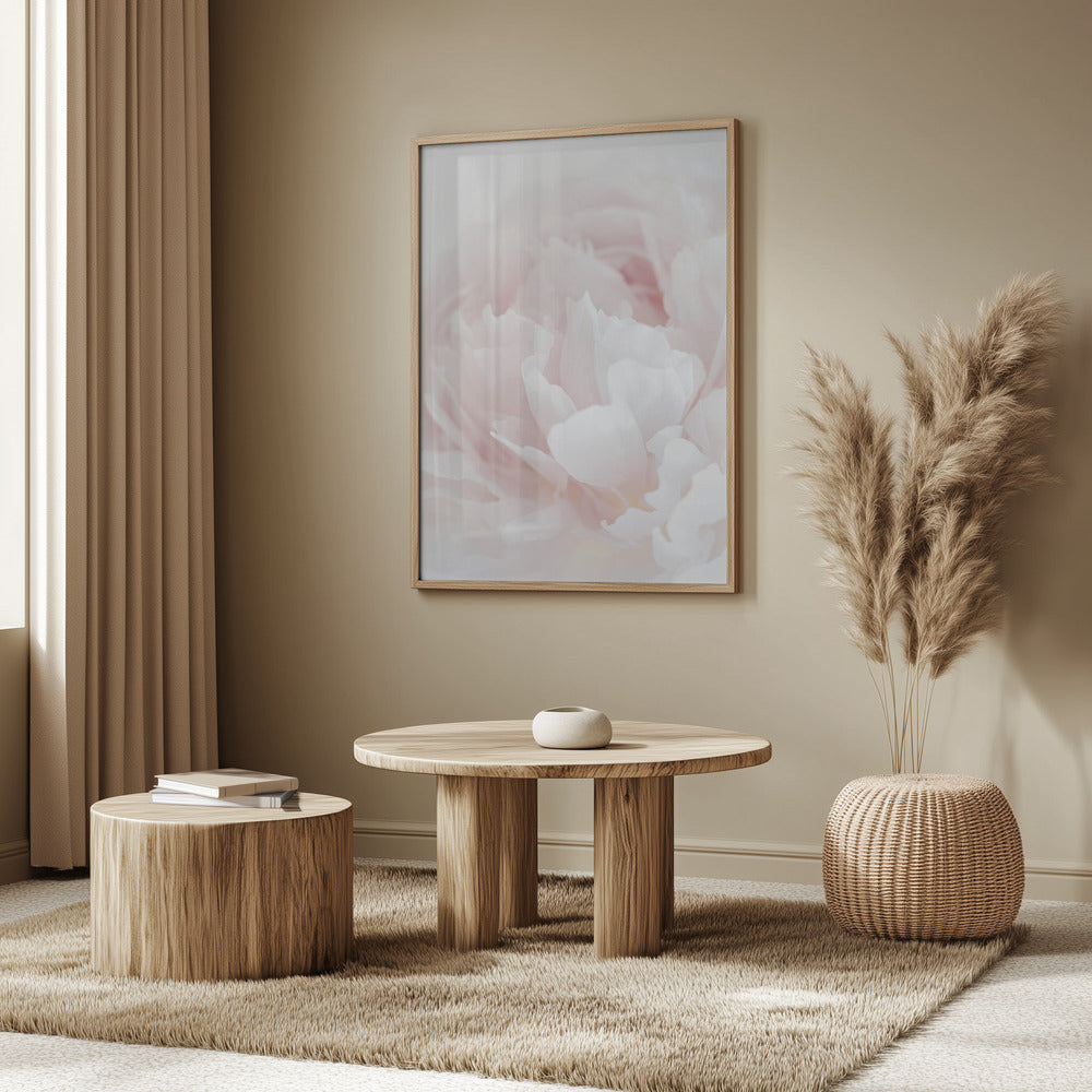 Peony 05 | Poster