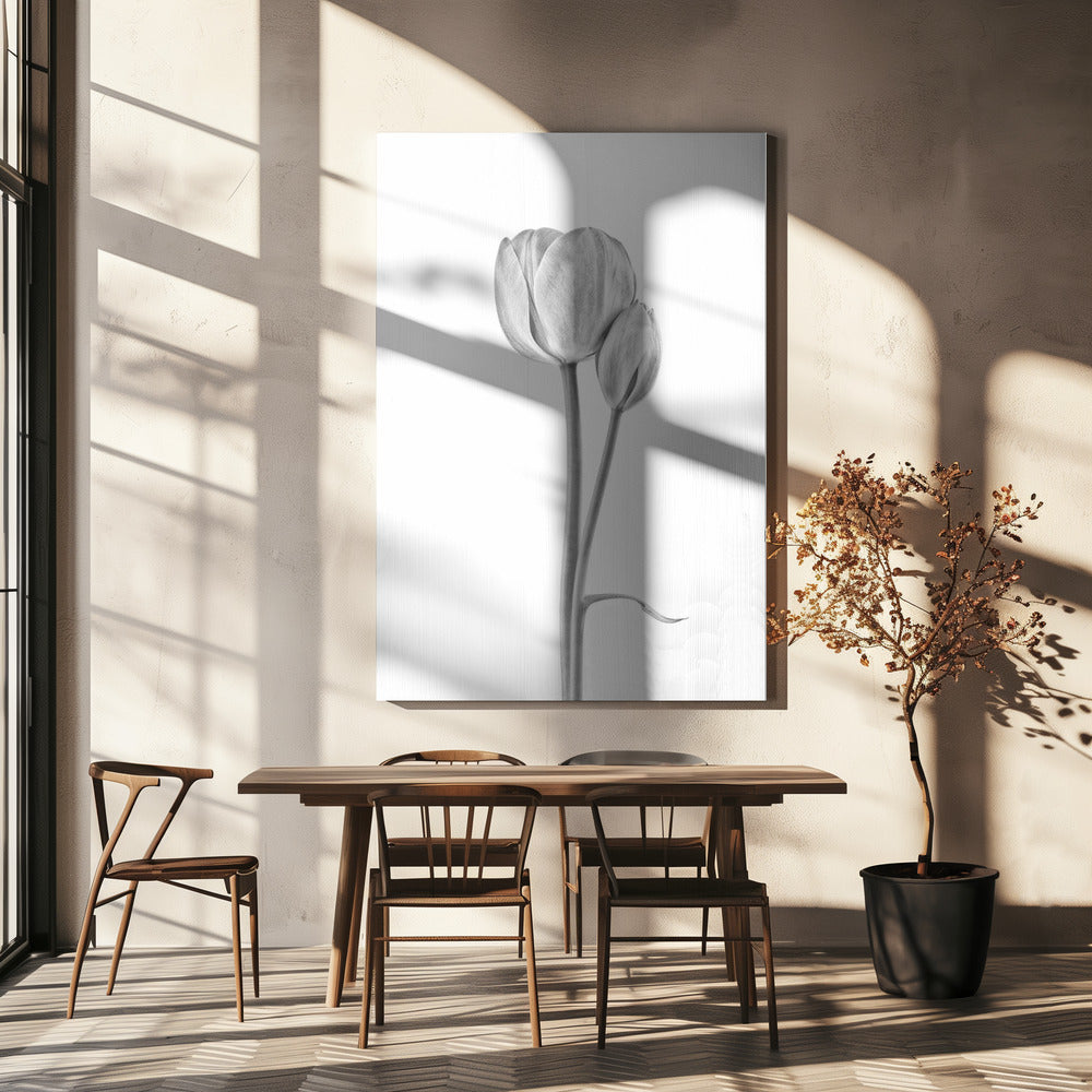 Connected | Canvas