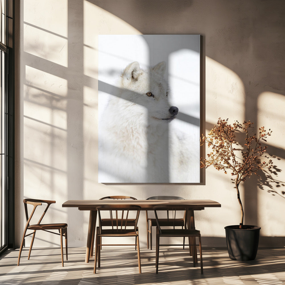 Portret van een poolwolf | Canvasprints