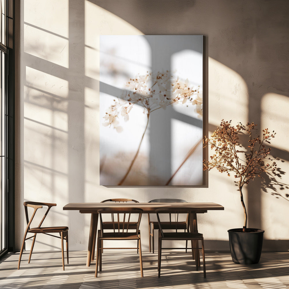 Fleur séchée douce_marron | Tableaux sur Toile