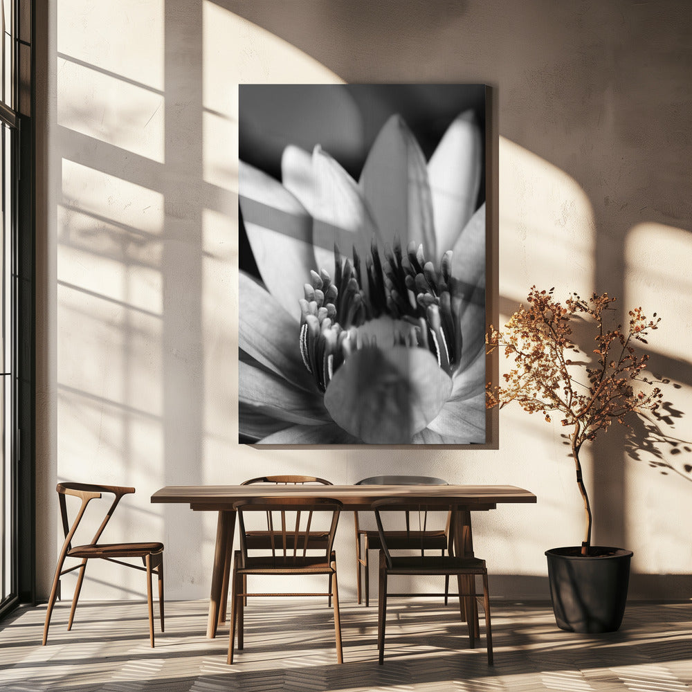 Flower, close up | Canvas