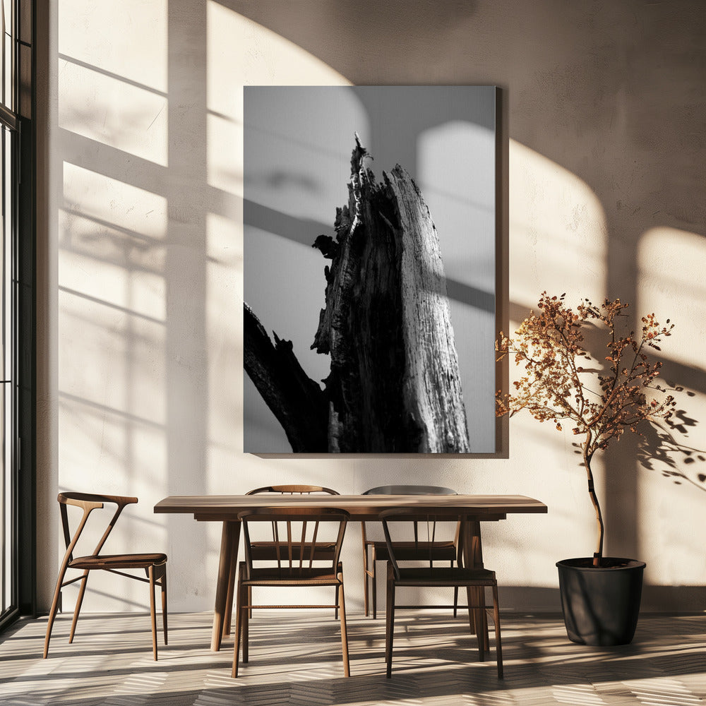 Wetlands 1 | Canvas