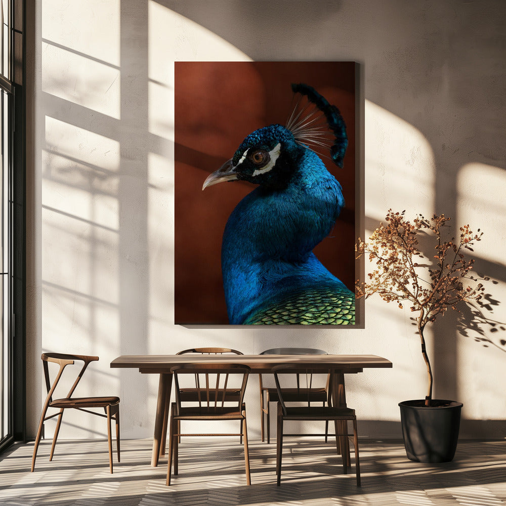 Förförelseläge | Canvas