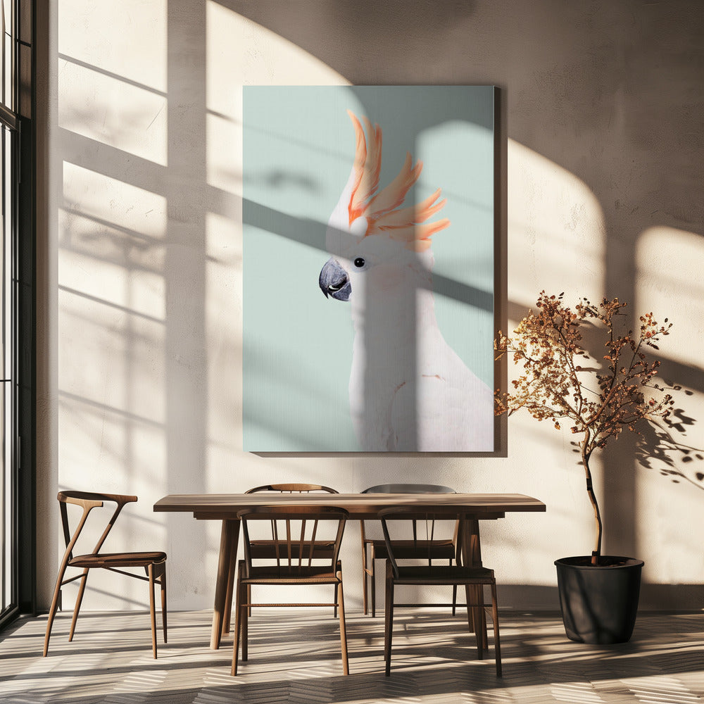 Kaketoe | Canvasprints