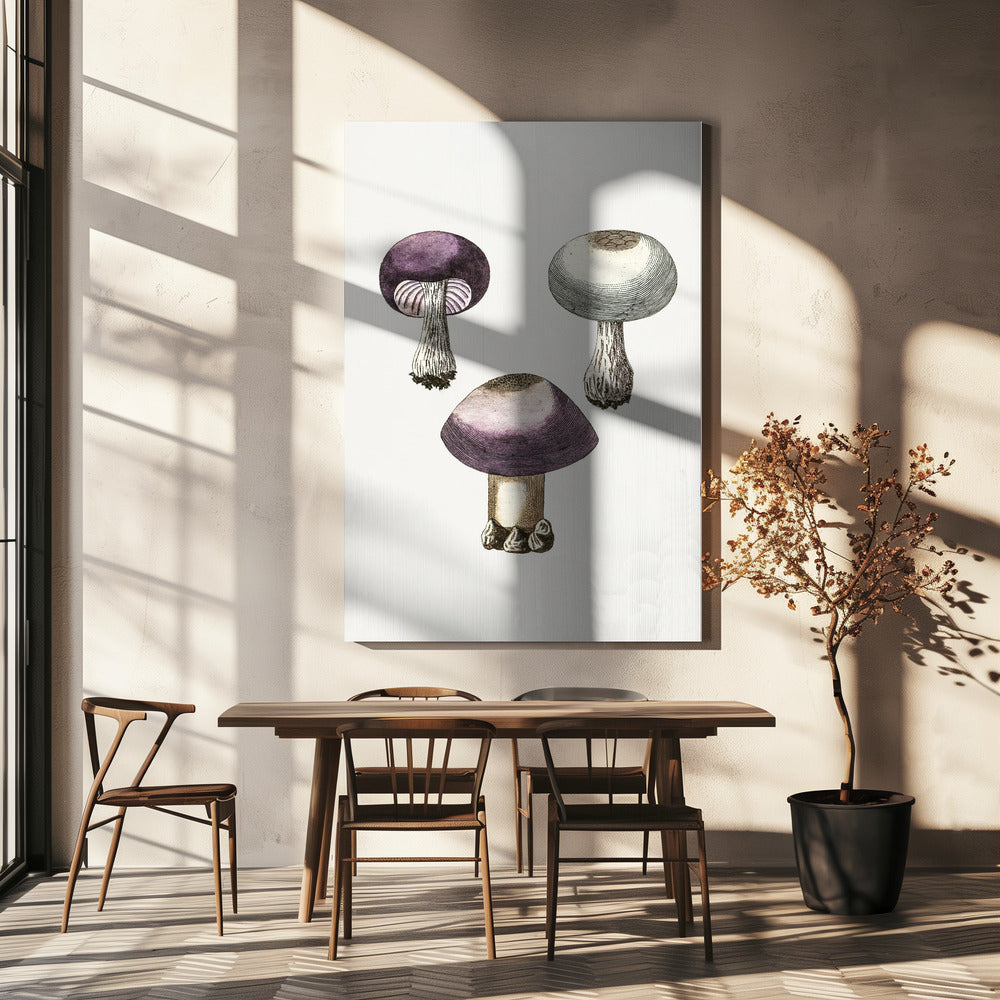 Champignon violet Webcap dessiné à la main | Tableaux sur Toile