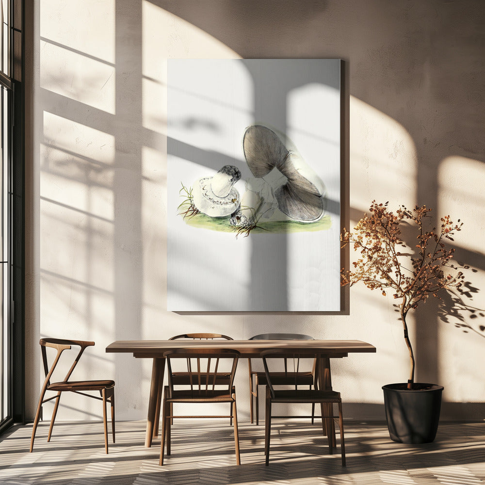 Cheval champignon dessiné à la main debout | Tableaux sur Toile