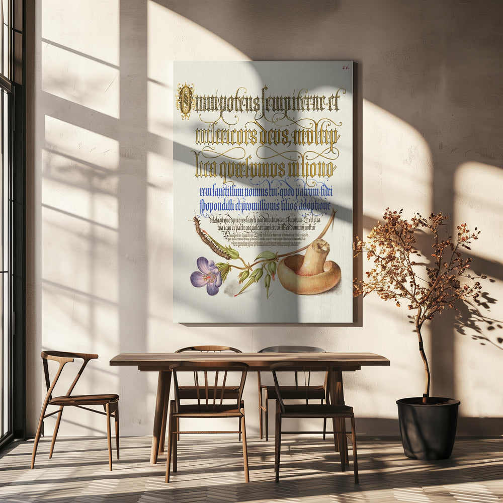 Paddestoel Posters - Kunstdrukken | Canvasprints