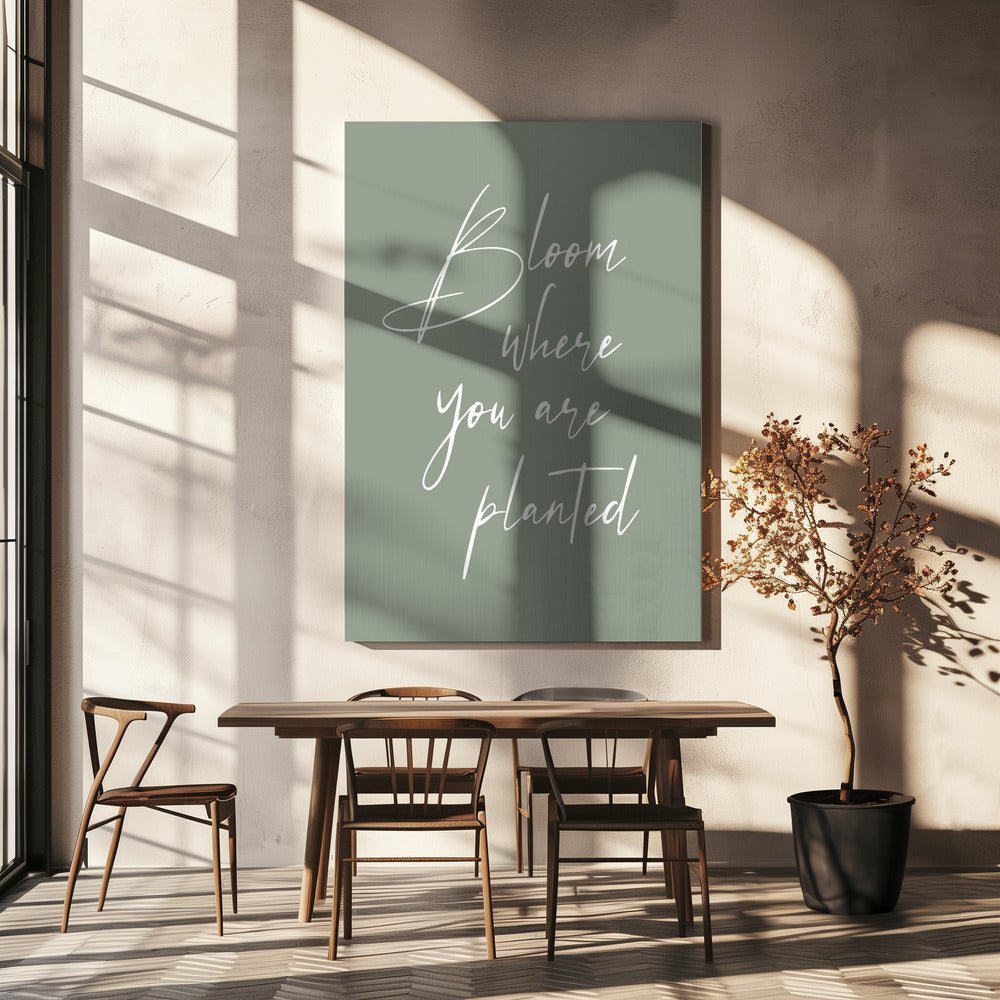 Bloom | Canvas