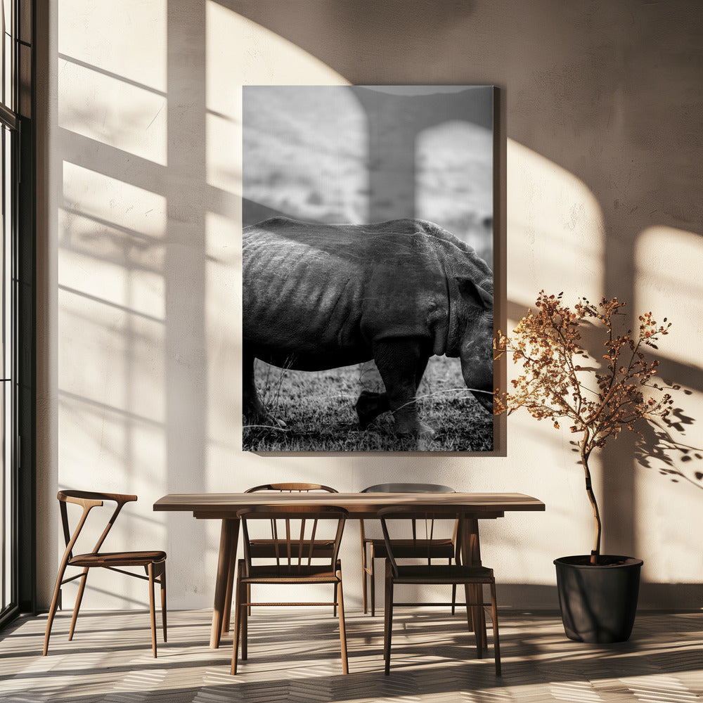 Black Rhino | Canvas