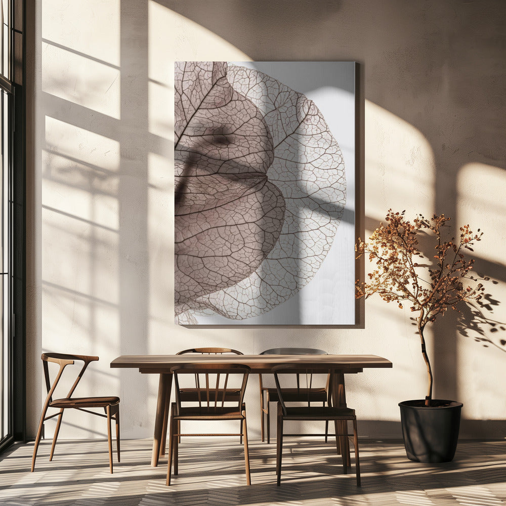 Bougainvillea Island | Canvas