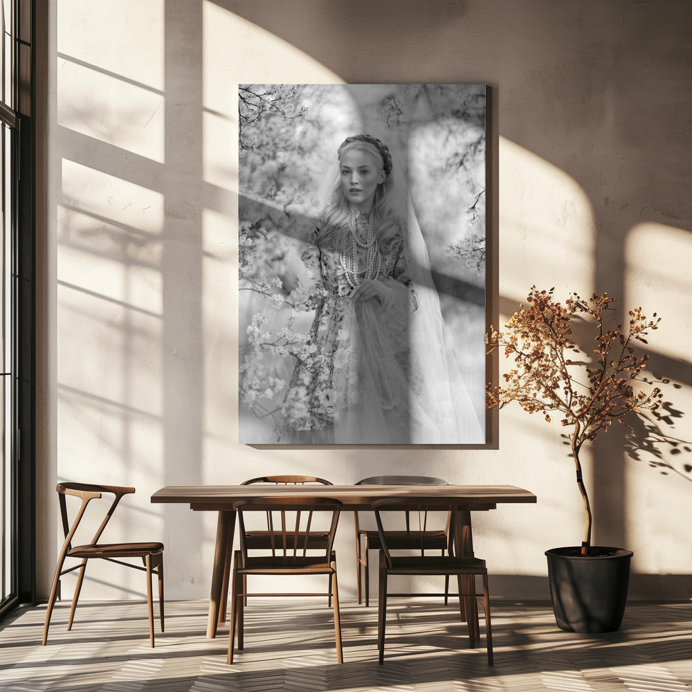 Stassy | Canvas