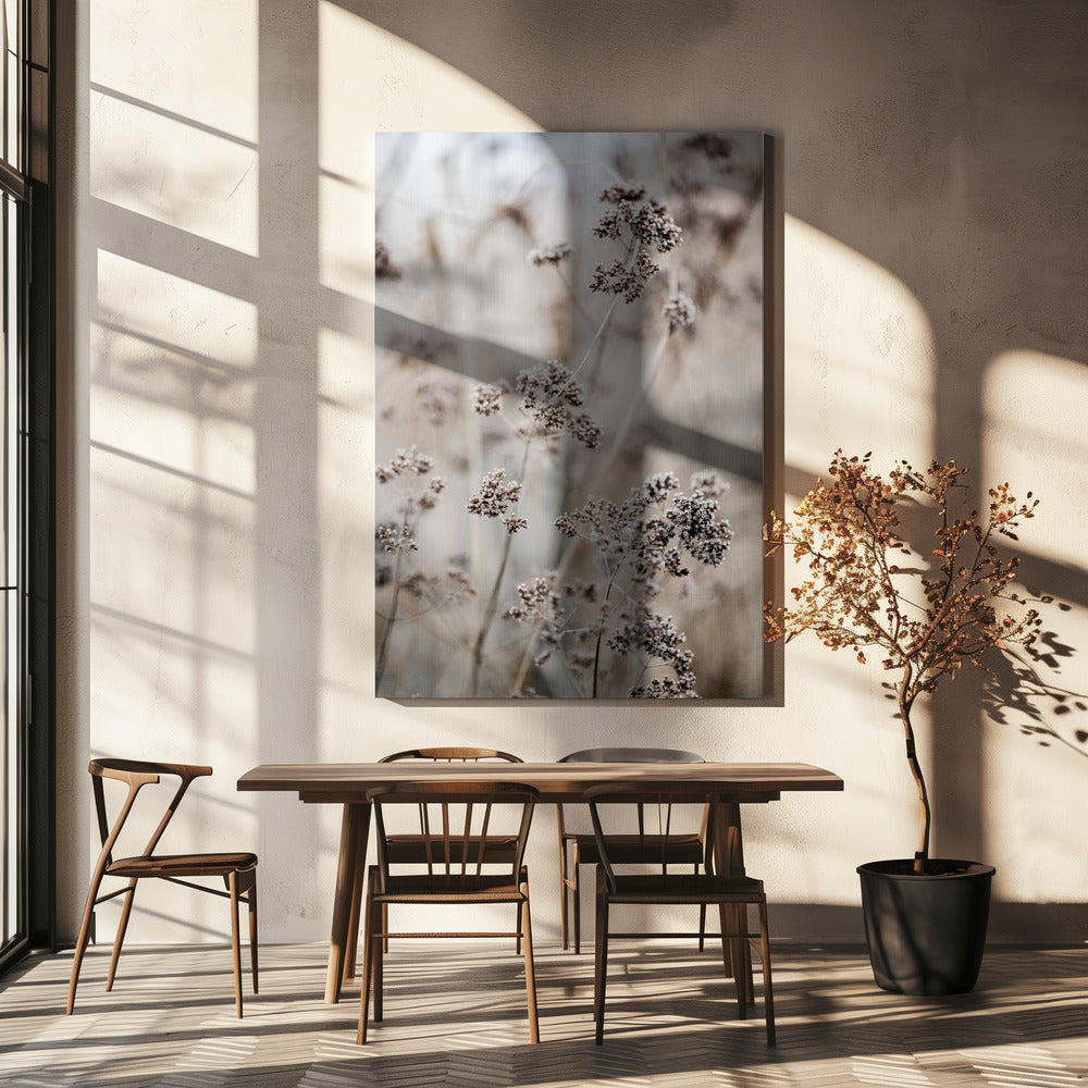 Unknown 8 | Canvas