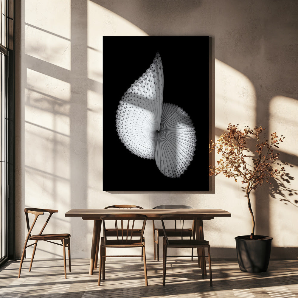Nautilus-like Sculpture | Canvas