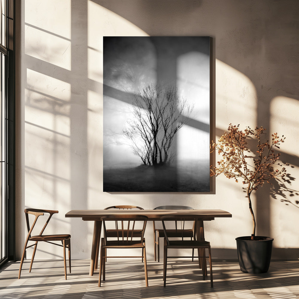 naakt | Canvasprints