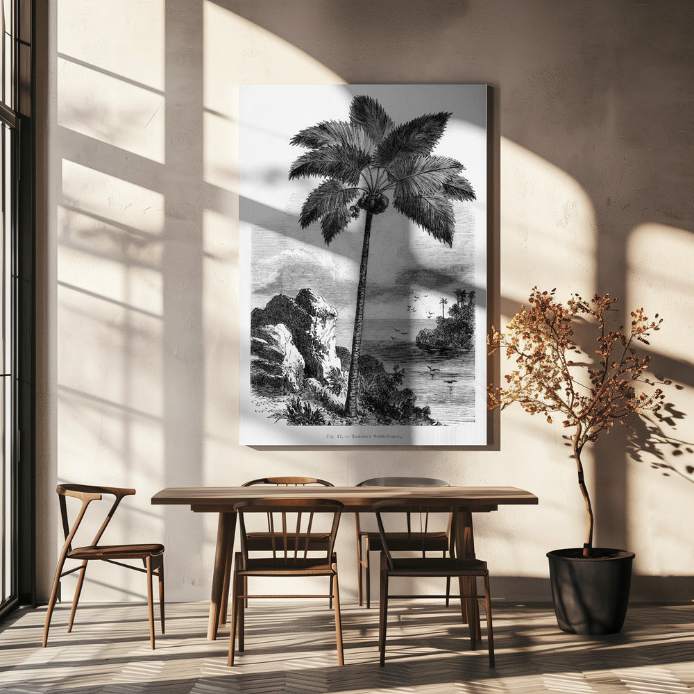 Dessin de palmier vintage I | Tableaux sur Toile