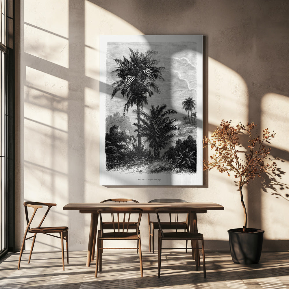 Dessin de palmier vintage V | Tableaux sur Toile