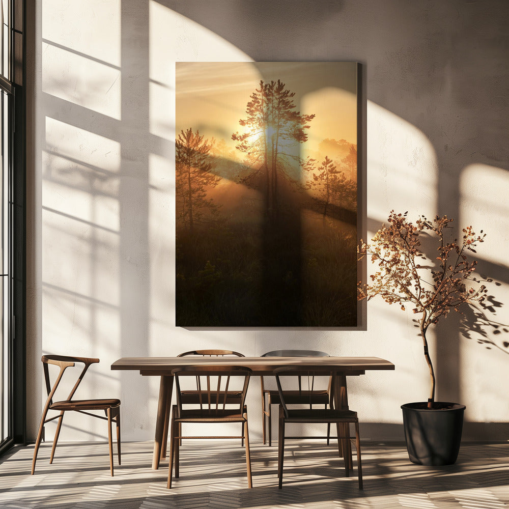 20220809 Dsf8009 Hdr 1 | Leinwand-Bilder