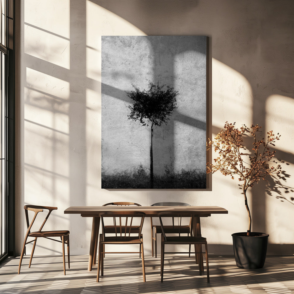 Boom in zwart-wit | Canvasprints