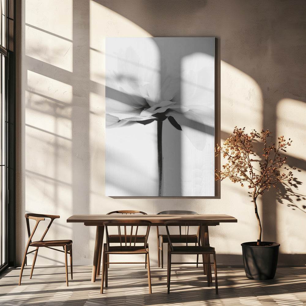 Japanse Kokosnoot | Canvasprints