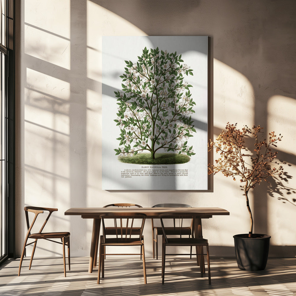 Litografia di un albero di magnolia resistente | Stampe su Tela