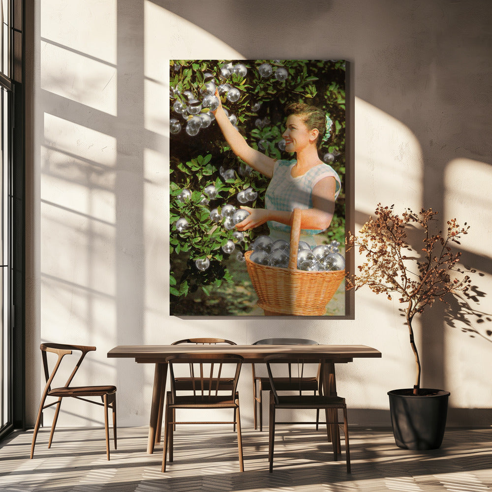 Disco Grove | Canvas
