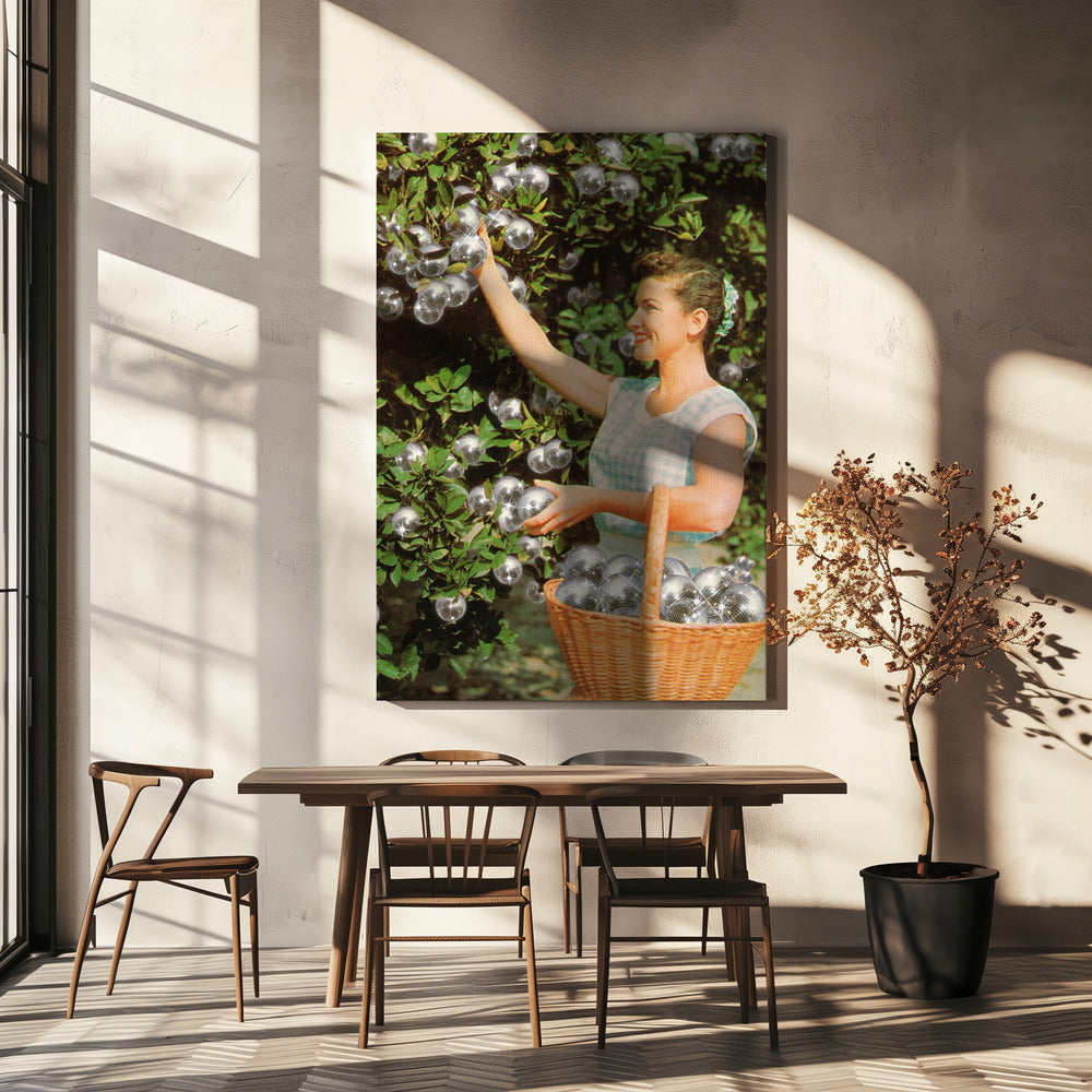 Disco Ball Grove | Canvas