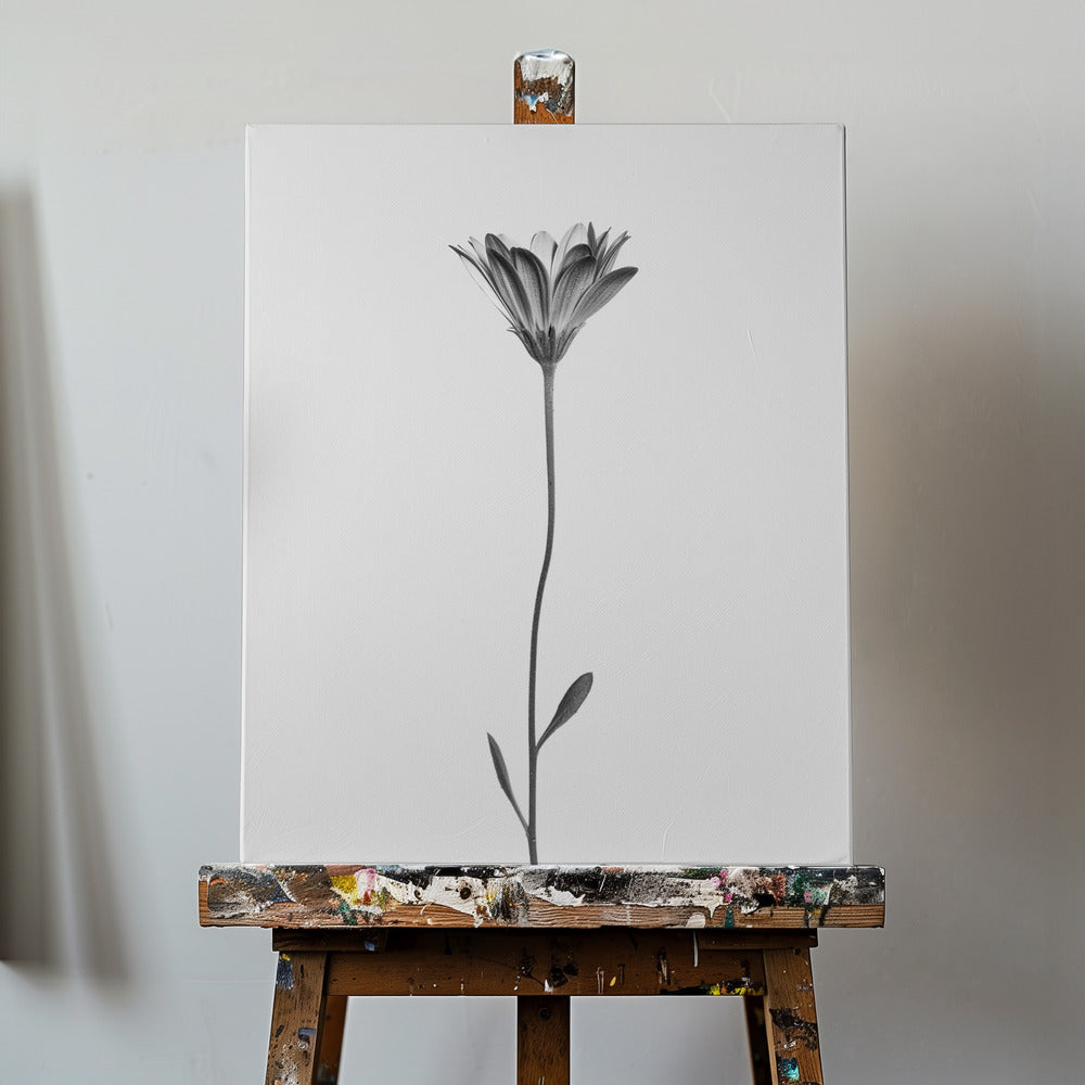 Marguerite | Tableaux sur Toile