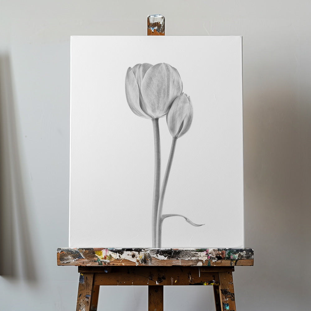 Connected | Canvas