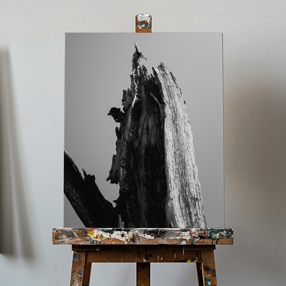 Wetlands 1 | Canvas