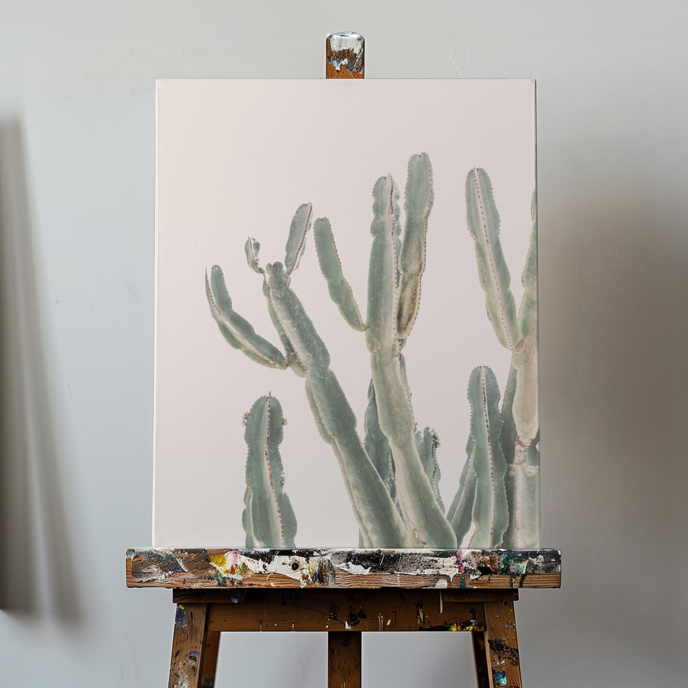 Cactus dell'alba | Stampe su Tela