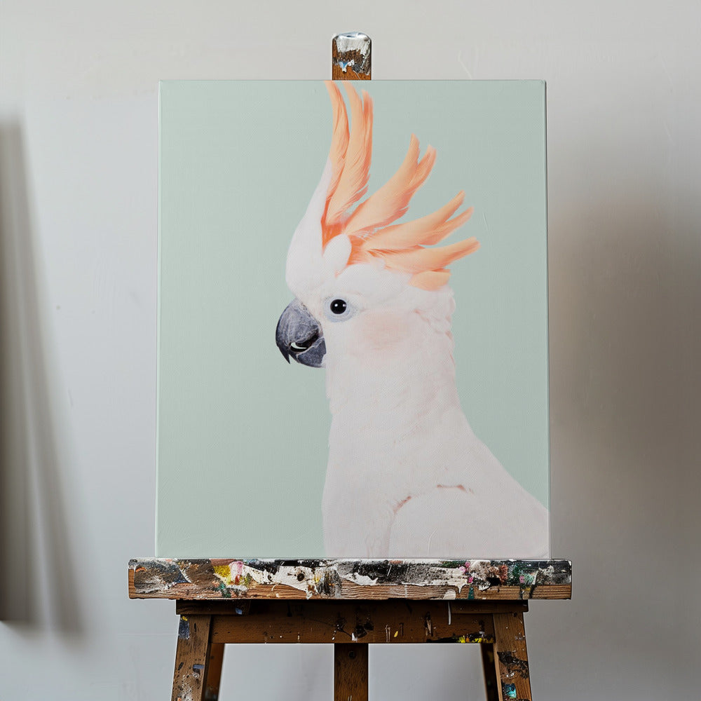 Kaketoe | Canvasprints