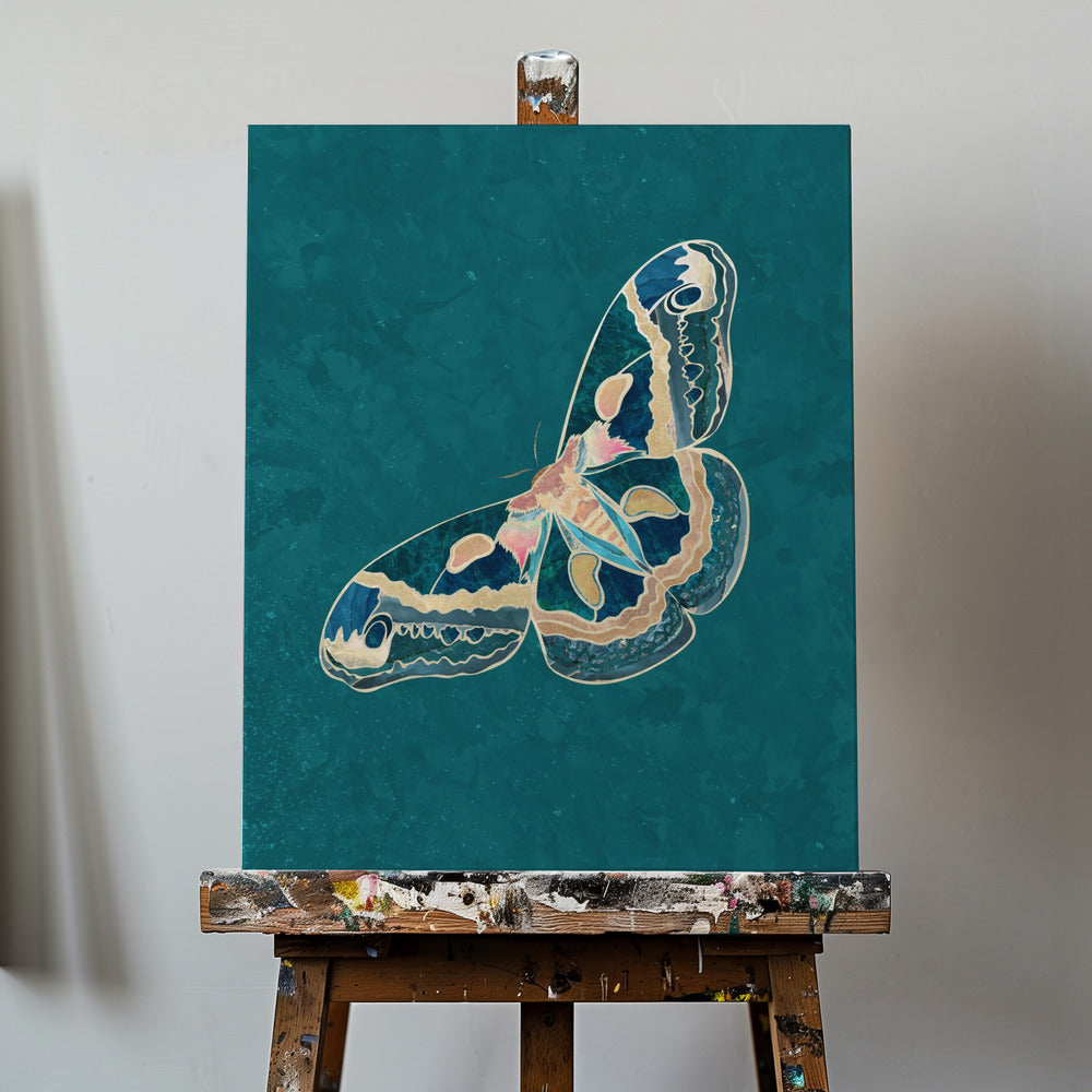 Turquoise Gold Moth Butterfly | Canvas