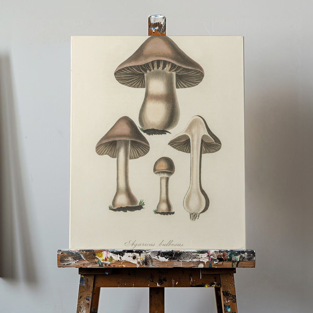 Agaricus Bulbosus -kuvitus. Lääketieteellinen kasvitiede 1836 | Canvastaulut