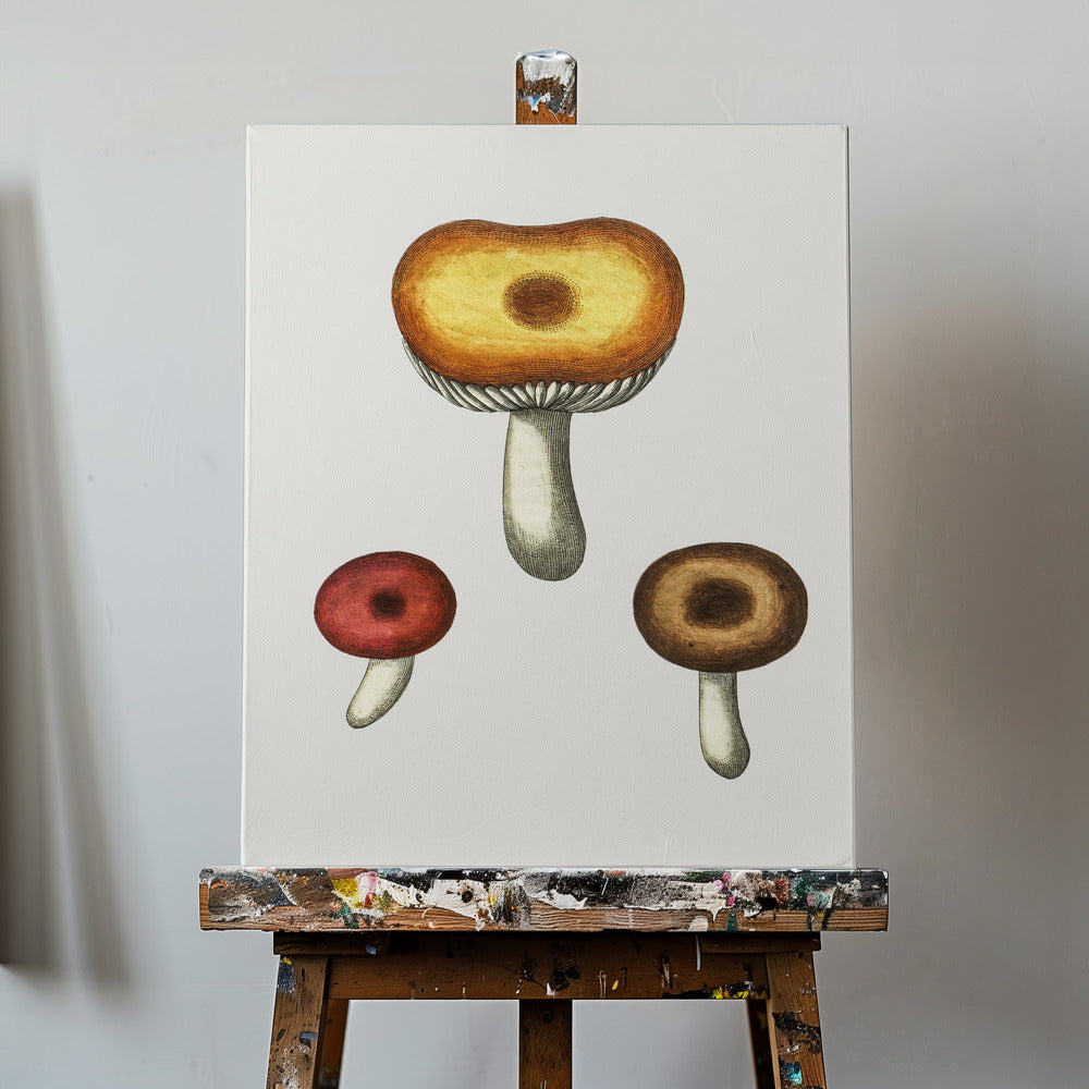 Champignon Galerina dessiné à la main | Tableaux sur Toile