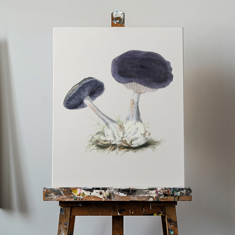 Vintage Violet Webcap-svamp | Lærredsbilleder