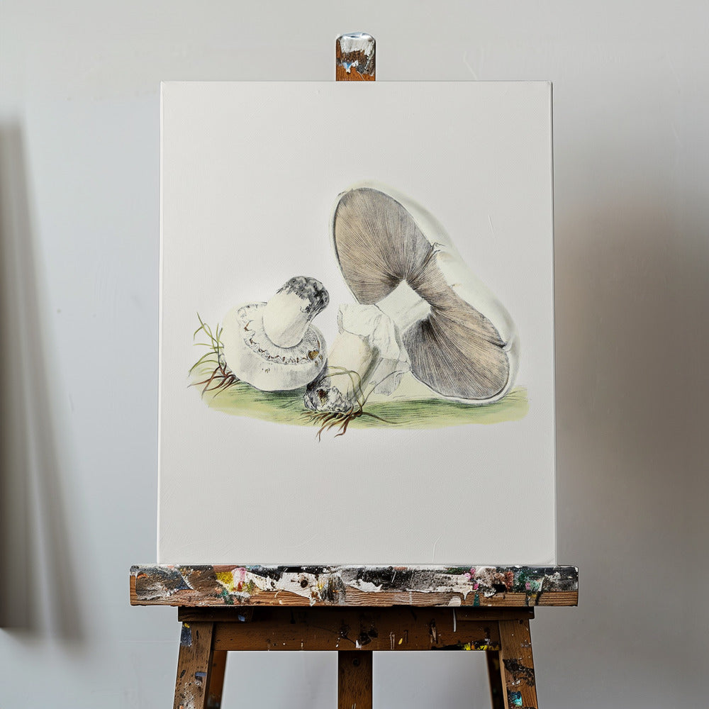 Cheval champignon dessiné à la main debout | Tableaux sur Toile