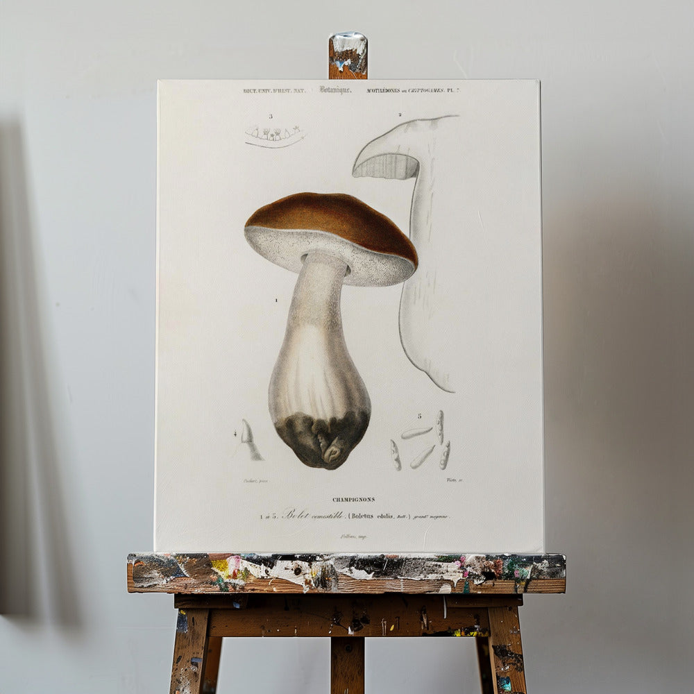 Borowik szlachetny (Boletus Edulis) | Wydruki na łótnie